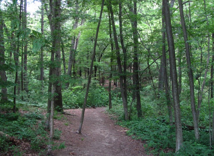 Wilson Mountain Reservation, Massachusetts, USA